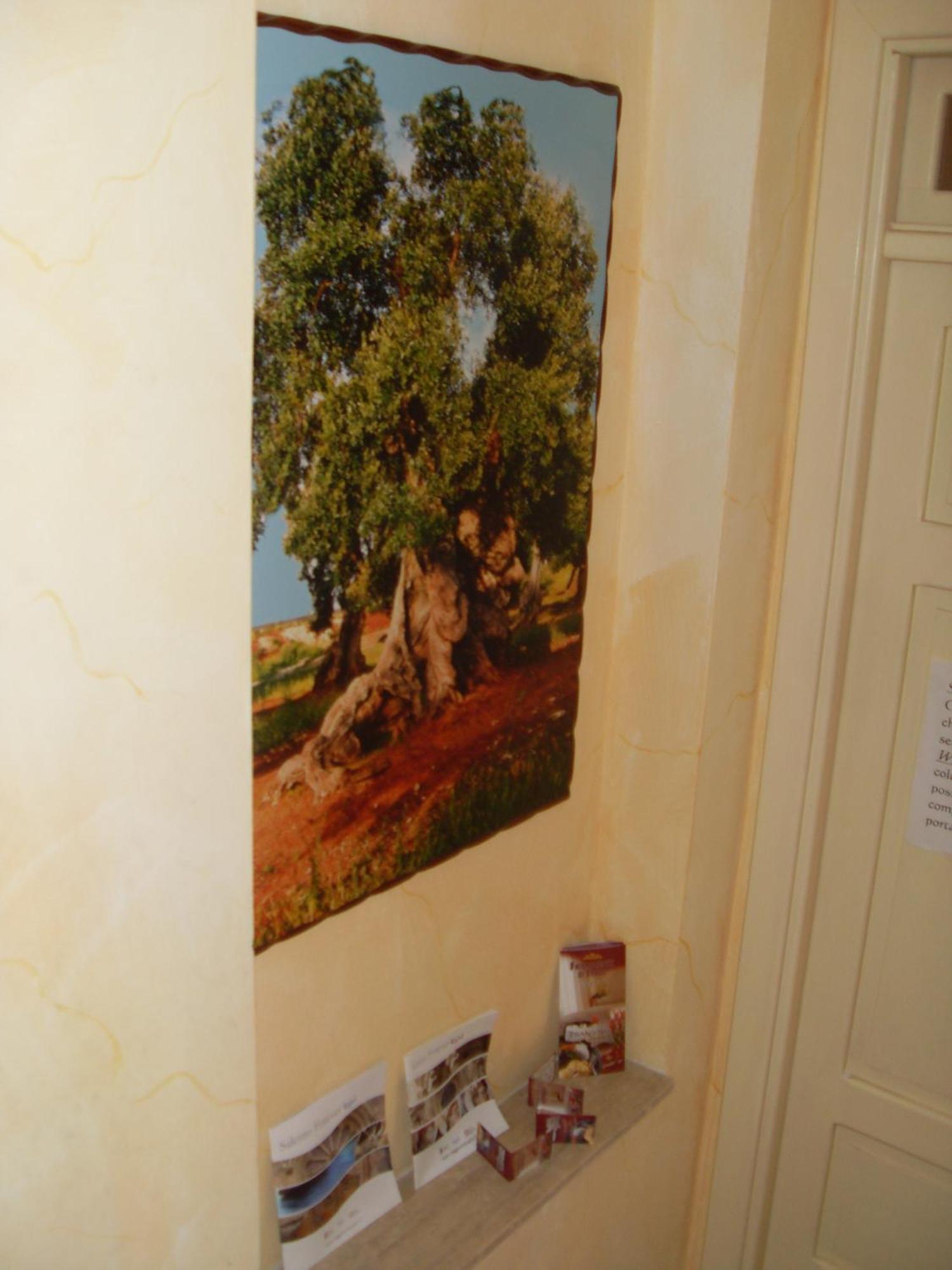 B&B Frammenti D'Itria Ceglie Messapica Εξωτερικό φωτογραφία